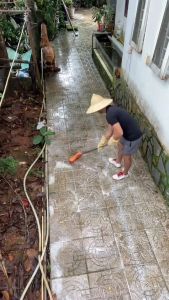 COMBO 2 BICH Bột Tẩy Rong Rêu Trên Nền Xi Măng Sân Gạch Vỉa Hè Bột Diệt Tẩy Mốc Trần Và Tường Nhà Hiệu Quả Gói 500g/1 gói