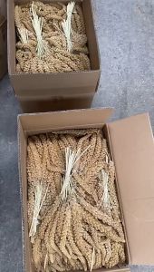 Spray millet for birds Original Bird treats 250g Birds seeds food for parrots cockatiels lovebirds