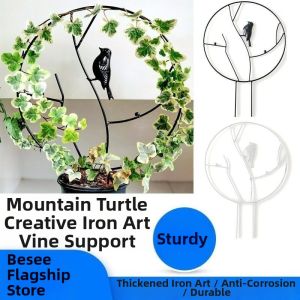 Jiaxun | Plant Support Frame for Climbing