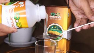 Obat Herbal Untuk Haid Tidak Teratur Obat Agar Haid Teratur Obat Buat Haid Tidak Teratur Obat Pelancar Haid Tidak Teratur Obat Haid Tidak Teratur Karena KB Obat Haid Tidak Lancar Dll - QnC Jelly Gamat Emas (Isi 300 ml)