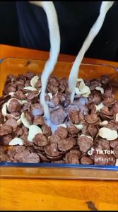 SEREAL COKLAT COCO CHIPS CRUNCH 200 GRAM FANTASIA DENGAN PAKING AMAN