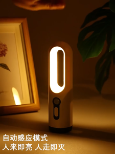 LED Motion Sensor Night Light Portable 2 in 1 Flashlight Bedroom Bathroom Reading Camping Lighting Baby Feeding Eye Care