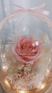 TTEEN GIFT Preserved Flower Merry Christmas Romantic Anniversary Birthday Gift永生花圣诞节女友男友情侣浪漫玻璃罩礼品礼物