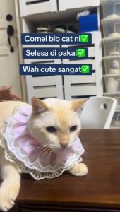 Dog Bib Cat Neck Accessories Pet Drool Towel Dog Triangle Scarf Teddy Bib Scarf Collar Adjustable