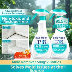 LANYUELIANG | Wall Room Mold Remover 500g