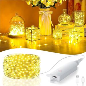 5-20m LED Flashing Warmlight Rechargeable RGB String Lamp LED Fairy Light String Adjustable Dimming forBedroom Christmas Tree