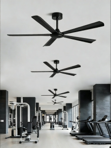 HUANGJIANG | Industrial Silent High-power Ceiling Fan