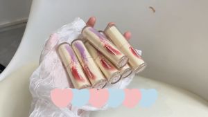 Lip Gloss Matte Long Lasting 24H Waterproof Non-stick Velvet Liquid Lipstick Matte Lip Tint 6 Shades
