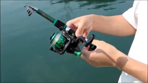 DayWalkers รอกตกปลา รอกสปินนิ่ง 3Ball Bearing พร้อมเอ็น สำหรับเบ็ดตกปลา ทั้งตี เหยื่อปลอม และ ตกปลา ทั่วไป (ซีรีส์200)