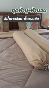 SANTA ชุด ผ้าปูที่นอน ผ้านวม ผ้าห่ม สีน้ำตาลเข้ม สีน้ำตาลอ่อน 3.5/5/6 ฟุต