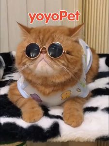 yoyopet : แว่นตาสัตว์เลี้ยง แว่นตาแฟชั่น แว่นกันแดด หลากสี ดีไซน์เก๋ อุปกรณ์​แต่งตัวสัตว์​เลี้ยง