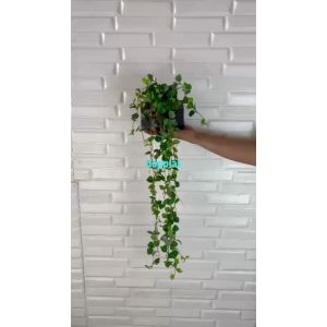 Tanaman Artificial Juntai Devil Ivy Pot Kotak Kayu Dekorasi Pajangan Hambalan Meja Ruang Tamu