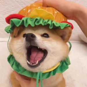 Pet Dog Burger Headwear Cartoon Cute Funny Costume Cat Hat Individual Personality Clothing Props Universal Pet Accessories