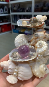 ✨ Exclusive Design ✨ Seashell 🐚 DIY Crystal Base 🛍️ | Crystal Mount仙女请进✨独家款式✨贝壳🐚diy底座🛍️水晶坐骑  独家贝壳底座🐚 #myr128