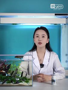 (50 capsules) ORIGINAL YEE Capsule Nitrifier Bacterial Bacteria Aquarium 硝化菌胶囊