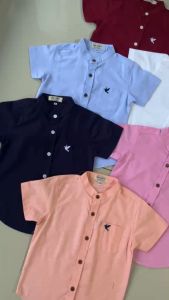 เสื้อเชิ้ตเด็กคอจีนแขนสั้น ผ้าOxford งานปักลายนก ผ้าเกรดดีใส่สบาย