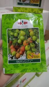 BENIH TOMAT SERVO F1 1750 Butir