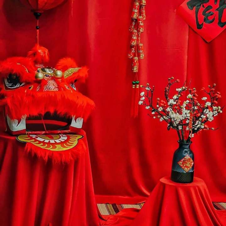 Vải Nhung đỏ trang trí , phông nền chụp ảnh | Lazada.vn