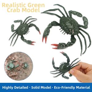 Realistic Childrens Toy Crab and Lobster Solid Decorations