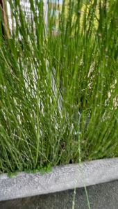 Zahira1808 Andrea Bahan Lionel Richie Mix Air Flow Krinkle Set Tunik Kulot Dress Atasan Wanita Long Dress Busui Terbaru Terlaris Best Seller