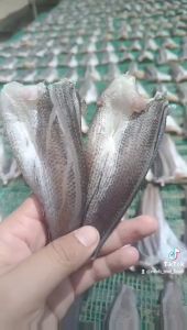 Khô Cá Lóc Cửng chiên nướng đều ngon tuyệt vời bán rẻ bán sĩ. an toàn vệ sinh --- ĐẠI NGƯ
