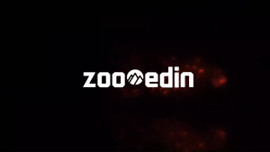 ZOOMEDIN 14.5" Portable 4K HDR IPS FHD Monitor with TypeC HDMI USB-C & Dual Speakers