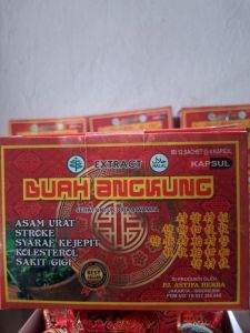 Buah biji Angkung Herbal alami Obat Stroke & Syaraf angong cina dan kapsul