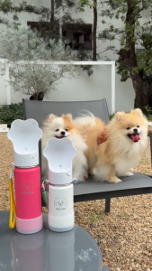 (NEW) Yodabottle ขวดน้ำเก็บความเย็นสำหรับสัตว์เลี้ยง Pet Bottle