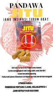 PANDAWA JITU - obat turun urat / tedun / ayam pincang
