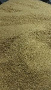 telur jangkrik madu kunyit 1kg kualitas terjamin