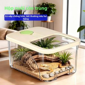 Mabalo | Bể Nuôi Thú Nhỏ Bò Sát Tích Hợp Cảnh Quan và Sinh Thái