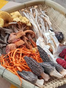 Mountain Treasures Mushroom Soup Pack Dry Goods Yam Dung Fungus Chefs Special Chicken Oil Mushroom Yunnan Specialty Soup Making Buy Three Get One Free