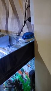 RISHENG - Mesin Pompa Aquarium Mini 1.5W Super Senyap