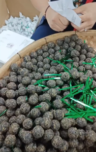 Trà phổ nhĩ Băng Đảo Long Châu 8g trà cổ thụ Vân Nam phổ nhĩ sống cao cấp vụ xuân 2022