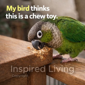 Parrot Happy Board Chew Toy Set | Foraging & Shredding Enrichment Toy | Natural Bird Toy with Cuttlefish Bone | Cage Activity Board for Lovebird Conure Cockatiel Budgie