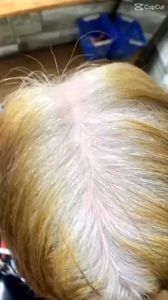 Dầu Gội Phủ Bạc Màu Đen Tóc KARSEELL BNC 500ml