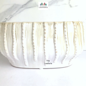 The Leaferie Jethro Long shallow plant pots. flowerpot . flowerpots . flower pot . planter Ceramic