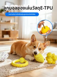 VOA | Durable Chew Toy Disc & Teeth Grinding Stick for Small to Large Dogs & Cats