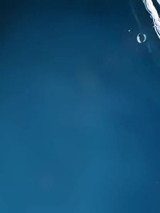 2025{ Flag Live Broadcast } Meow Zheng Zheng Premium Cat Grass Fish Oil Pigeon Meat Main Food Cat Stick Cat Snack Nutritional Hairball Control 2