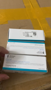 DENTSPLY Dycal Self-congealing Calcium Hydroxide Dental Material (13g + 11g)