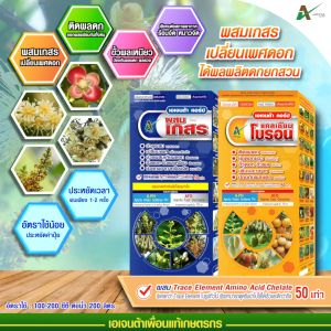 ผสมเกสรทุเรียน ระยะมะเขือพวง ติดผลดก ขั้วเหนียว ออกผลพร้อมกันทั้งต้น เอเจนต้า คอร์ป  (ชุดคู่ 1 ลิตร)