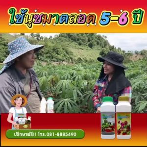 นุชฟอร์ไลฟ์ 4 ขวดเล็ก (1+2+8+9) แถมสารจับใบขนาด 100cc - 1 ขวด / อาหารเสริมพืช ปลอดภัย ปูน้ำ/สินค้าเกษตร