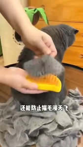 Sisir semprotan hewan peliharaan sisir kucing 3 in 1 sikat pijat semprotan hewan peliharaan