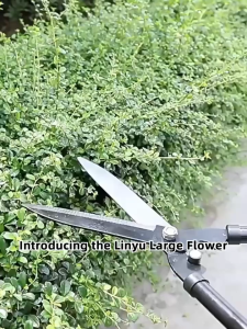 Garden Scissors Grass Cutting Shears 52cm Gardening Large Good Quality Heavy Duty Lawn Tool