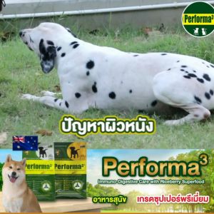อาหารสุนัขสูตรเนื้อแกะจากออสเตรเลียและไก่ (HOLISTIC) 12kg Performa3 Dog Australian Lamb and Chicken Formula - อัตโนมัติ 100% เนื้อแกะ ไม่มีเคมีขนาดเล็ก
