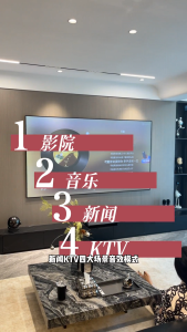 Punos PS - 36 Pianist Flagship 3D Surround Home Theater & KTV Sound System All - in - One