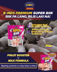 1 kg Booster Milk B-meg Super Biik Booster+Milk Formula 1kg Day 5 to 35 Piglet Booster feeds