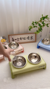 Chén ăn nghiêng 2 ngăn chống gù lưng cho Chó Mèo (hàng mới) - Love Pets Shop