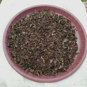 Herbal Teh Tanaman Kumis Kucing Kering