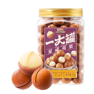 Three Squirrels | Healthy Nuts 500g
